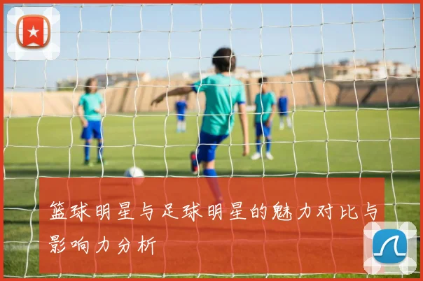 篮球明星与足球明星的魅力对比与影响力分析