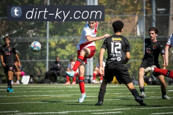 开云APP 体育赛事宣传图